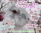 電話で一緒に【おうち時間】楽しく過ごします オンライン飲み会もOK！自由にたわいもない話しましょう！ イメージ1