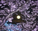 あなたの誰にも言えない恋の苦悩を全て受け止めます あなたの誰にも言えない恋の苦悩を全て受け止めます イメージ1