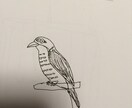 甲冑着せて似顔絵描きます ●全身を描写。●甲冑のデザインは応相談。 イメージ7