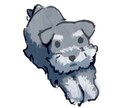 可愛い動物イラストを作成します ペットの似顔絵、SNSアイコン、LINEスタンプ等に！ イメージ6
