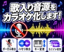 ボーカル除去・抽出・キー変更など音源編集します プロ歌手への提供実績あり◎【先着5名様】は500円引き‼️ イメージ1