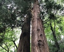 受験生を支えるお母さんをサポートします 目標達成コーチがお母さんの愚痴を聞きます! イメージ1