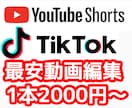 YouTubeショート、TikTok動画編集します 最短当日!Shortsの動画(1分以内、縦画面)を編集します イメージ1
