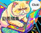実績多数！迅速・高品質▪️SNS動画編集代行します YouTube・セミナー・対談・マルチカメラ・研修動画対応 イメージ1