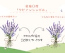 サビアンカード１枚引きします 日々の不安、悩み、家族、仕事、人間関係、心に寄り添うカード イメージ2