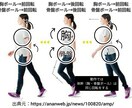 痩せさせ、肩・腰・膝の不調改善をさせ強くさせます 『痩せる方法』と『痛みをとる方法』と『強くなる方法』 イメージ5