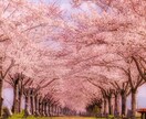 2週間占い放題で、あなたの悩みにお答えします 占いっぱなしじゃなく、継続してサポートします。 イメージ1