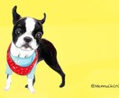 愛犬のイラスト描きます ＜個人・商用可＞リアル可愛い、グッズにしやすいイラストです イメージ3