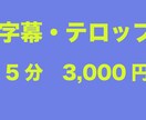動画字幕・フルテロップを入れます 動画15分以内で3,000円、以降300円/分 イメージ1