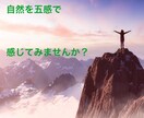 リラックスと瞑想・整えをご提供致します 私なりの方法で心が落ち着くお手伝いを致します。 イメージ3