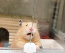 写真から不要な情報を消します 惜しかったあの写真をお気に入りに昇格！！ イメージ4
