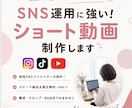 SNSショート動画作ります "伝わる"動画を提供いたします イメージ1