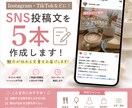 SNS投稿文を5本作成します 読みやすく魅力的な投稿文を作成します！ イメージ1
