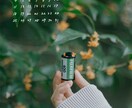写真に手書き文字を入れます 思い出の写真に、ことばを添えて イメージ4