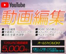 Youtube動画をプロのクオリティで編集します プロの動画編集クリエイターとして本業で活動しています。 イメージ1