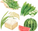 商用◎水彩で野菜・フルーツのイラストを描きます 構図から提案も可。カラーラフ修正無制限、ヒアリングが得意です イメージ6