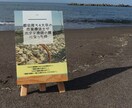 紙の書籍作りを1からサポートするセッションをします Amazonの検索結果にでる本を作りませんか？ イメージ4