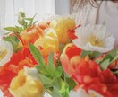 小さい悩みや、大きな悩み何でも聞きます 辛い事があった！幸せ話聞いて！誰かに話したい話を聞きます。 イメージ1