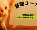 動物の【バナー】SNSや広告バナーを作成します ブログ、SNS（XやFacebookなど）、広告用バナー イメージ6
