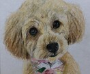 大切な家族、ペットをリアル似顔絵で描いてます リアル似顔絵は写真に近い絵です。可愛い子はさらに可愛く イメージ8