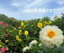 撮ります 記念やアイコンの撮影・HPなので使う写真撮ります！ イメージ1