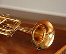 あなたが作曲した曲にトランペットで音入れします 自身の曲にトランペットの音を入れたい方へ！ イメージ1