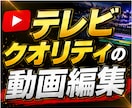 SNS用の動画編集・サムネイル作成いたします テレビ編集のクオリティーを再現します イメージ1