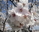 1週間あなたの〇〇になります あなたの恋人？友達？なってほしい人になります✨ イメージ4