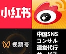 中国ソーシャルメディア運営のコンサルします 中国のソーシャルメディア運用のノウハウを個別で提案します！ イメージ1