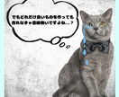 あなたの代わりに売れるコンテンツ作成します 面倒な商品作りは丸投げ！AI活用のプロ品質作成代行！ イメージ6