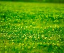 あなたの強みを見つけ、生きづらさを解消します /電話相談・話し相手承ります！ イメージ6