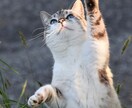 勇気を持って話してくれてありがとう、お話聞きます 人間関係、悩み、相談、恋愛、なんでもない事、お話聞きます✨ イメージ10