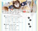 現役デザイナーがチラシ・フライヤーの制作をします 幅広いデザインのweb、印刷問わずチラシなどの制作を行います イメージ3