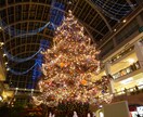 札幌観光のプランニングをします はじめてもリピーターも歓迎、札幌の楽しい思い出をお土産に！ イメージ3