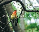 放（話）してみませんか？　不安や不満、聴きます いつも相談される側（聞く側）にまわってしまう人待ってます。 イメージ2