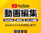 YouTube動画編集｜見やすく丁寧に仕上げます 分かりやすく視聴維持率を意識した編集を。 イメージ1