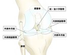 整形外科専門医が医療イラストを描きます 論文用シェーマや患者説明用イラストなどに！ イメージ2