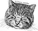 商用可★並べて可愛い♬猫や動物のペン画お描きします おしゃれなイラストで唯一無二！商品化OK、ウチの子グッズにも イメージ8