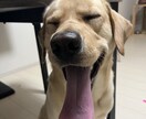 なんでもお話ききます みなさんの相談!ストレス、悩み事聞きます! イメージ1
