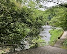 誰にも言えないこと、話したいこと何でも聞きます 愚痴・悩み・秘密など話したいこと全部はなしてOK イメージ1