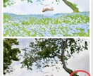 簡易レタッチ承ります パッとしない写真を明るく鮮やかに生まれ変わらせます★ イメージ1