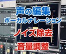 声の編集・ノイズ除去音量音圧調整いたします ボーカルやナレーションのノイズ除去・音量音程調整 イメージ1