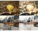 プロが撮った写真に見えるよう加工をします 脱・素人っぽい写真！映えない写真！カメラマンが居ないあなたへ イメージ2