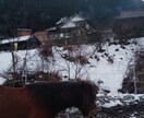 24時間☆チャットで山奥から寄り添います 山奥の素朴さや自然の厳しさから培った、共感、対話、寄り添い イメージ5