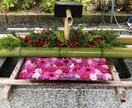 光のご神託✨ご縁がある神様と繋がり未来へ導きます 【豪華2大特典】神様カード＋浄化と癒しのヒーリング付き✨ イメージ1