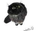 黒猫さんのイラスト描きます リアル画像でシンプルにかっこよく イメージ1