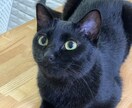 何でも聞きます かずまと申します。本当にただ話を聞きます。 イメージ1