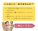 元販促企画者が訴求力が高いセールスコピーを書きます メルマガからECサイトの商品PR文まで幅広くご対応します イメージ4