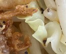 高校生で暇つぶし！現役高校生がお話し相手します そこそこ普通の高校生捕まえて暇つぶししませんか？ イメージ3