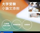 24時間以内返却！大学受験等小論文添削します プロの視点で「合格する論文」へ。再添削付きで試験直前でも安心 イメージ1